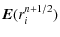 $\displaystyle \vec{E}(r_i^{n+1/2})$