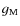 $g_{\rm M}$