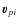$\vec v_{pi}$