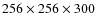 $256\times 256\times 300$
