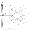 \begin{figure}
\par\includegraphics[angle=0, width=8.5cm]{11519f1.eps}
\end{figure}