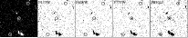 \begin{figure}
\par\includegraphics[width=18cm,clip=]{z1.6peak_GM2148_triplet.bwdark.ps} %
\end{figure}