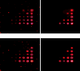 \begin{figure}
\par\includegraphics[height=4.3cm,width=5.1cm,clip]{fig_res_msvst...
...[height=4.3cm,width=5.1cm,clip]{fig_res_msvst2d1d_grid_6sig_sum.ps}
\end{figure}