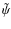$\tilde{\psi}$