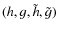 $(h,g,\tilde{h},\tilde{g})$