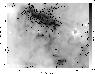 \begin{figure}
\par\includegraphics[width=8.8cm,clip]{11568F15.eps}
\end{figure}