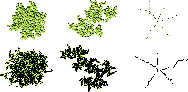 \begin{figure}
\par\includegraphics[width=17cm,clip]{fig1.eps}
\end{figure}