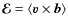 $\vec{\mathcal{E}}=\langle{\vec{v}\times
\vec{b}}\rangle$