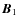 $\vec{B}_1$