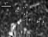 \begin{figure}
\par\includegraphics[width=8.5cm,clip]{12365fg8.eps}
\end{figure}