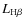 $L_{{\rm H}\beta}$