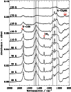 \begin{figure}
\par\resizebox{9cm}{!}{\includegraphics{12559f9.eps}}
\end{figure}