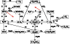 \begin{figure}
\par\resizebox{9cm}{!}{\includegraphics{12559f22.eps}}
\end{figure}