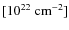 $[10^{22}~\rm cm^{-2}]$