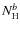 $N_{\rm H}^b$