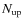 $N_{{\rm up}}$
