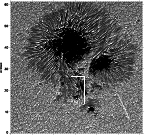 \begin{figure}
\par\hspace*{12mm}\includegraphics[width=11.5cm]{12063f01.eps}\par
\par\end{figure}