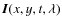 ${\mbox{\boldmath$I$\unboldmath }}(x,y,t,\lambda)$