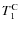 $T_1^{\rm C}$