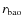 $r_{\rm bao}$