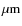 $\mu\rm {m}$