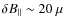 $\delta B_\parallel \sim 20~\mu$