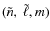 $(\tilde{n},~\tilde{\ell},m)$