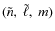 $(\tilde{n},~\tilde{\ell},~m)$
