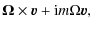 $\displaystyle \vec{\Omega} \times \vec{v} + {\rm i}m\Omega\vec{v},$