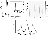 \begin{figure}
\par\mbox{\includegraphics[width=8cm]{11884f31}\includegraphics[w...
... {\hspace*{4cm}\includegraphics[width=8cm]{11884f33}\hspace*{4cm}}\end{figure}