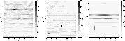 \begin{figure}
\par\includegraphics[width=16.5cm,clip]{11884f09}
\end{figure}