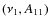 $(\nu_1, A_{11})$