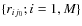 $\{r_{ij_0};i=1,M\}$