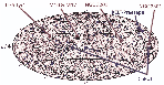 \begin{figure}
\par\includegraphics[width=13cm,clip=true]{12386fg3.eps}
\end{figure}