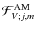 ${\mathcal F}_{V;j,m}^{\rm AM}$