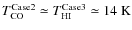 $T_{\rm CO}^{\rm Case2} \simeq T_{\rm HI}^{\rm Case3} \simeq
14~\rm K$