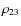 $\rho_{23}$