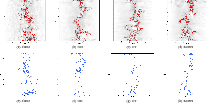 \begin{figure}
\par\mbox{\subfigure[Static]{\includegraphics[width=4cm]{pictures...
...figure[RCEN]{\includegraphics[width=4cm]{pictures/12483f16.eps} }}\end{figure}
