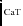 $_{\rm CaT}$