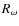 $R_\omega$