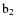 $\rm b_2$
