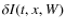 $\delta I(t,x,W)$