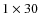 $1 \times 30$