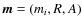 $\vec{m} = (m_i,R,A)$