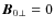 $\vec{B}_{0\bot}=0$