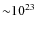 ${\sim}10^{23}$