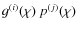 $g^{(i)}(\chi)~p^{(j)}(\chi)$