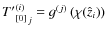 ${{T'}_{[0]}^{(i)}}_j = g^{(j)}\left( \chi(\hat{z}_i) \right)$
