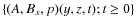 $\{(A,B_{x},p)(y,z,t);t\geq 0\}$