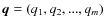 $\vec{q}=(q_{1},q_{2},...,q_{m})$